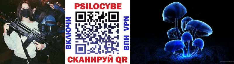 Галлюциногенные грибы мицелий  купить наркотики цена  Пионерский 